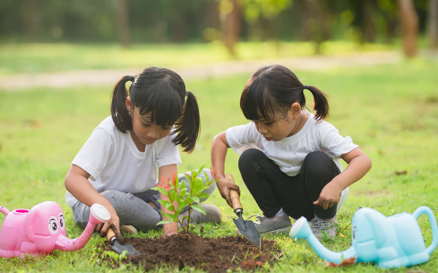 Children planting trees